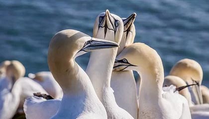 开云体育软件-【科技助赛】VR技术如何改变棒球观赛体验，vr 棒球